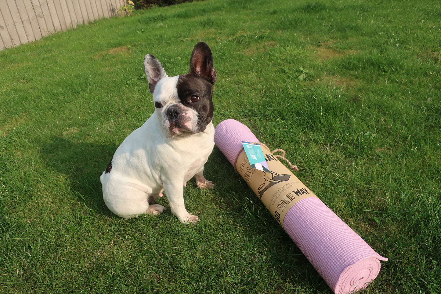 Entry Level Yoga Mat